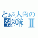 とある人物の空気銃Ⅱ（エアーガン）