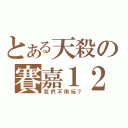 とある天殺の賽嘉１２（我們不用玩？）