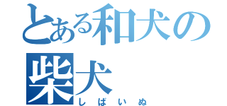 とある和犬の柴犬（しばいぬ）