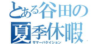 とある谷田の夏季休暇（サマーバケイション）