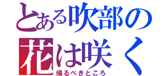 とある吹部の花は咲く（帰るべきところ）