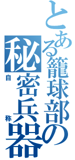 とある籠球部の秘密兵器（自称）