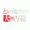 とある池袋の大映写機（ビックカメラ）