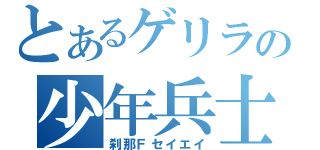 とあるゲリラの少年兵士（刹那Ｆセイエイ）