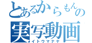 とあるからもんの実写動画（イトウマナヤ）