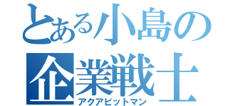 とある小島の企業戦士（アクアビットマン）