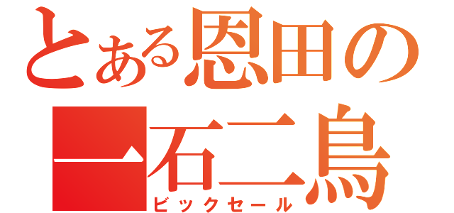 とある恩田の一石二鳥（ビックセール）