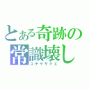 とある奇跡の常識壊し（コチヤサナエ）