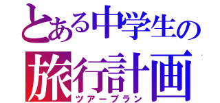 とある中学生の旅行計画（ツアープラン）