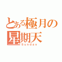 とある極月の星期天（Ｓｕｎｄａｙ　）