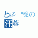 とある总受の汪蓉（）