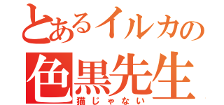 とあるイルカの色黒先生（猫じゃない）