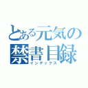 とある元気の禁書目録（インデックス）