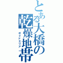 とある大橋の乾燥地帯（ ボイドエリア）