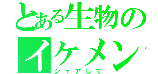 とある生物のイケメン（シェアして）