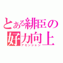 とある緋臣の好力向上（アセンション）