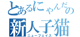 とあるにゃんだの新人子猫（ニューフェイス）