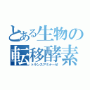 とある生物の転移酵素（トランスアミナーぜ）