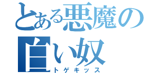 とある悪魔の白い奴（トゲキッス）