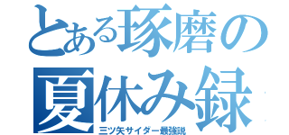 とある琢磨の夏休み録（三ツ矢サイダー最強説）