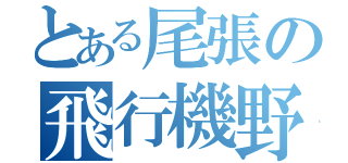 とある尾張の飛行機野郎（）