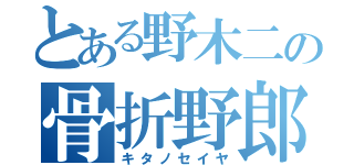 とある野木二の骨折野郎（キタノセイヤ）