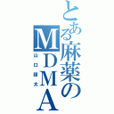 とある麻薬のＭＤＭＡ（山口諒太）