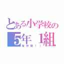 とある小学校の５年１組（皆仲間！！）