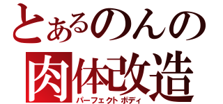 とあるのんの肉体改造（パーフェクトボディ）