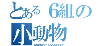 とある６組の小動物（あれ身長小さくて見えんかったｗ）