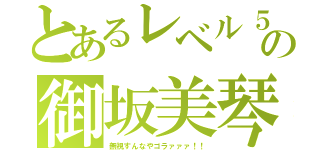 とあるレベル５の御坂美琴（無視すんなやゴラァァァ！！）