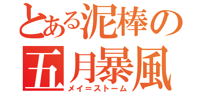 とある泥棒の五月暴風（メイ＝ストーム）