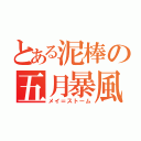 とある泥棒の五月暴風（メイ＝ストーム）