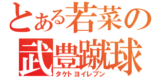 とある若菜の武豊蹴球軍団（タケトヨイレブン）