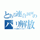 とある連合国軍のパリ解放（パリは燃えているか？）