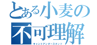 とある小麦の不可理解（キャントアンダースタンド）