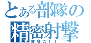 とある部隊の精密射撃（命令だ！！）