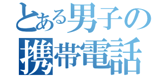 とある男子の携帯電話（）