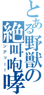 とある野獣の絶叫咆哮（ンアッー！）