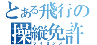 とある飛行の操縦免許（ライセンス）