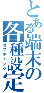 とある端末の各種設定（セッティング）