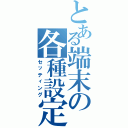 とある端末の各種設定（セッティング）