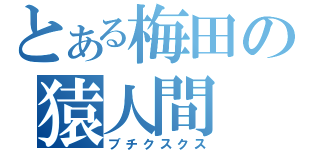 とある梅田の猿人間（ブチクスクス）