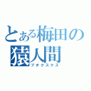 とある梅田の猿人間（ブチクスクス）