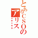 とあるＣＳＯのアリスⅡ（小学５年生）