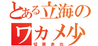 とある立海のワカメ少年（切原赤也）