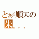 とある順天の朱（ゴリラ）