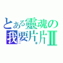 とある靈魂の我要片片Ⅱ（一辜）