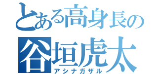 とある高身長の谷垣虎太郎（アシナガザル）