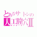 とあるサトシの人工膣穴Ⅱ（オナホール）